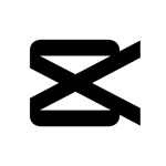 DeepSeek