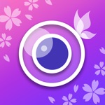 DeepSeek