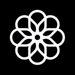 DeepSeek
