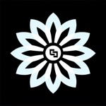DeepSeek