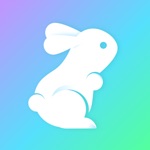 DeepSeek