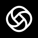 DeepSeek