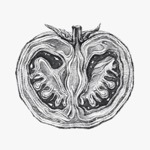 DeepSeek